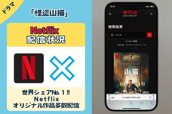 「怪盗山猫」はNetflixで配信してる？