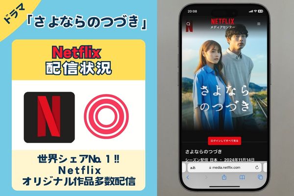 「さよならのつづき」を一番お得に視聴できるのは「Netflix」