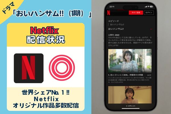 ドラマ「おいハンサム!!」はNetflixで観れる？