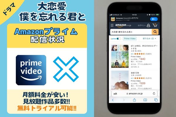 大恋愛 僕を忘れる君と　Amazonプライム　配信状況