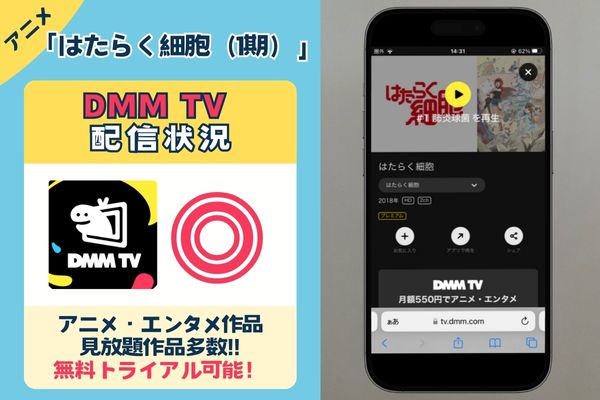 アニメ「はたらく細胞（1期）」を一番お得に視聴できる動画配信サービスは「DMM TV」