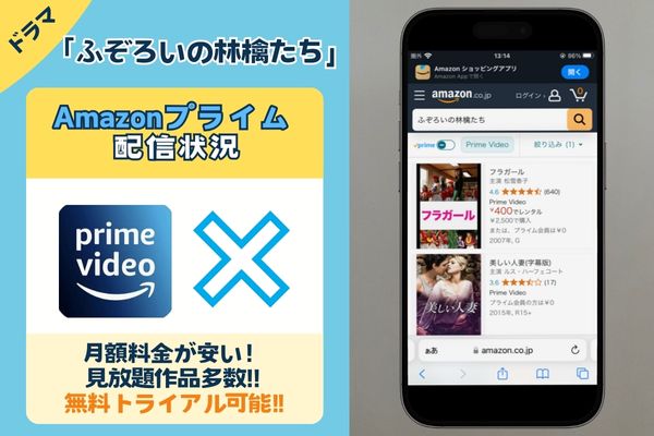 ドラマ「ふぞろいの林檎たち」はAmazonプライムで配信されている？