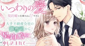 いつわりの愛～契約婚の旦那さまは甘すぎる～
