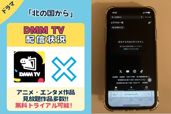 「北の国から」はDMM TVで配信している？