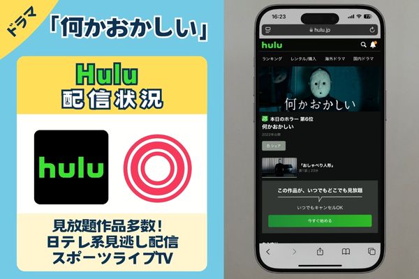 ドラマ「何かおかしい」はHuluで配信している？