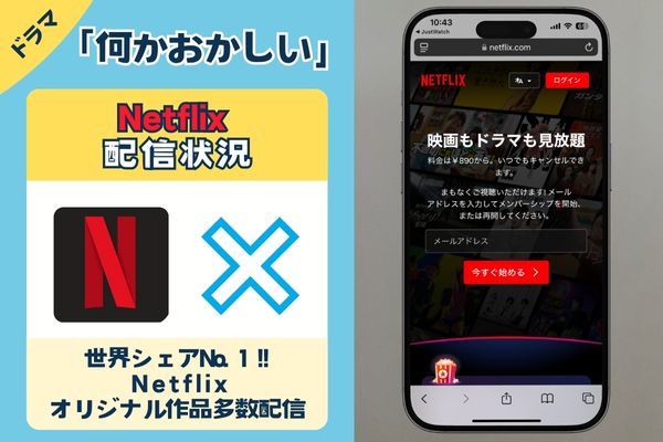 ドラマ「何かおかしい」はNetflixで配信している？