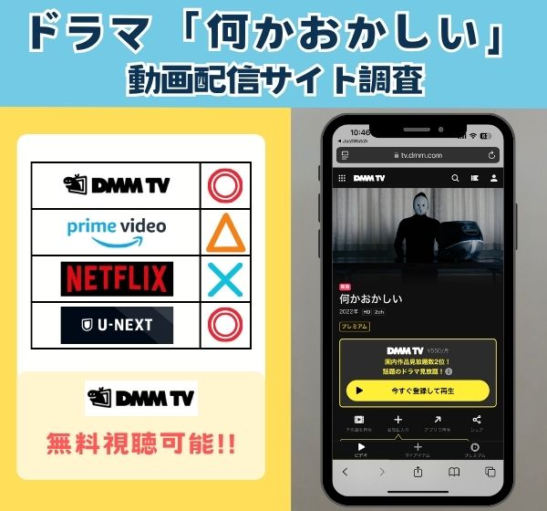 ドラマ「何かおかしい」シリーズを無料視聴できる動画配信サイトを独自調査！