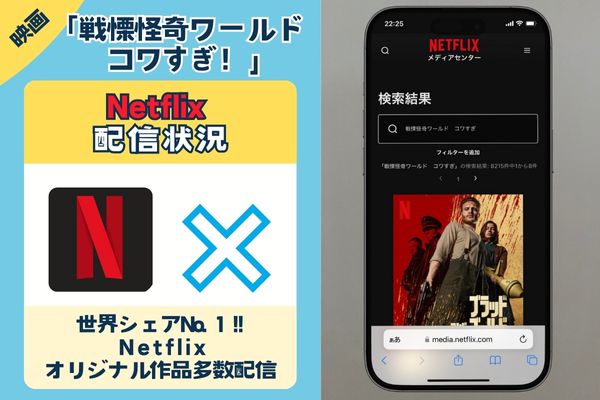 netflix-kowasugi