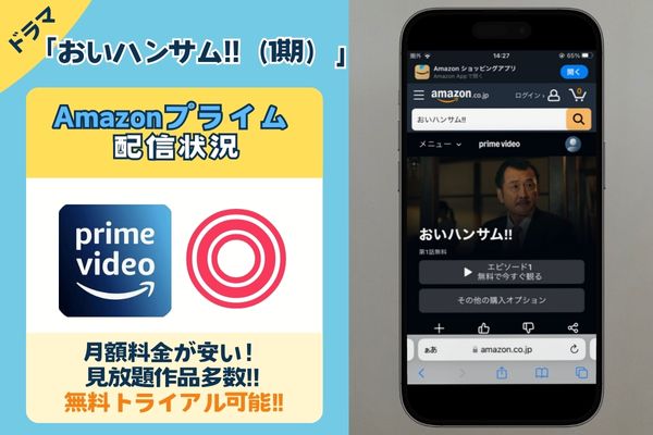 ドラマ「おいハンサム!!」はamazonプライムで観れる？