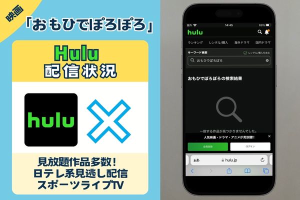 「おもひでぽろぽろ」はHuluで観れる？