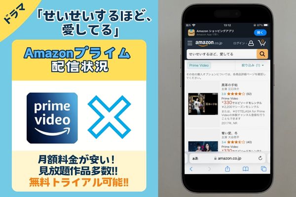 ドラマ「せいせいするほど、愛してる」はAmazonプライムで配信している？