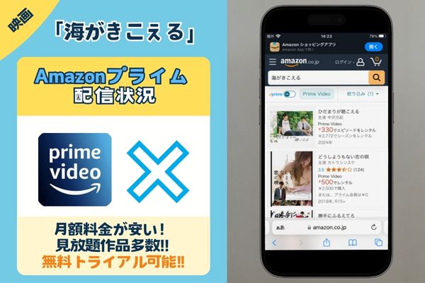 映画「海がきこえる」はAmazonプライムで観れる？