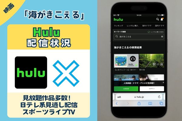 映画「海がきこえる」はHuluで観れる？