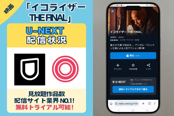 「イコライザー THE FINAL」配信状況解説画像