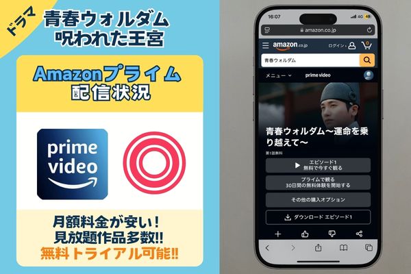 青春ウォルダム 呪われた王宮　Amazonプライム配信状況