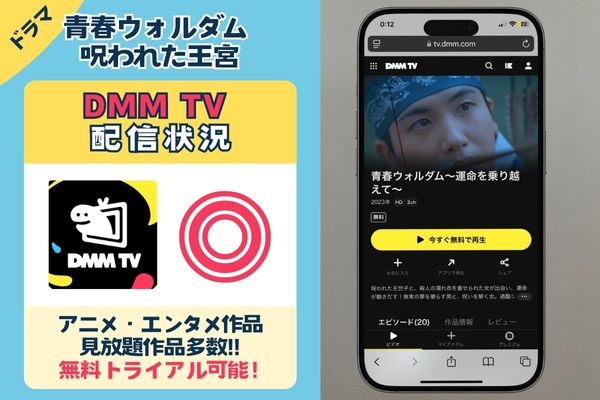 青春ウォルダム 呪われた王宮　DMM TV配信状況