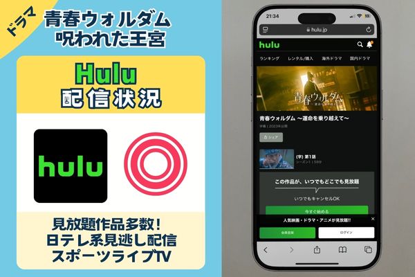 青春ウォルダム 呪われた王宮　Hulu配信状況