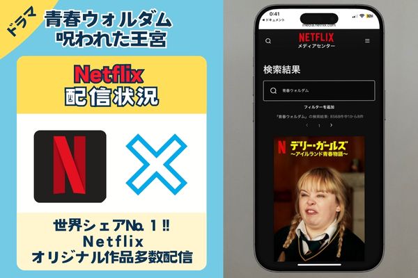 青春ウォルダム 呪われた王宮　Netflix配信状況