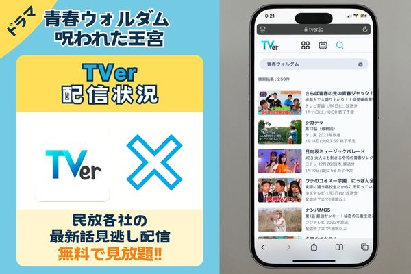 青春ウォルダム 呪われた王宮　Tver配信状況