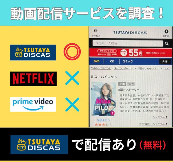 映画「ミスパイロット」を無料視聴できる動画配信サイトを独自調査！