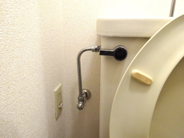 「 つまり」だけではないトイレのトラブル！ 症状から原因と重症度を探る方法を徹底解説