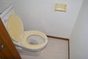 賃貸でトイレがつまった時の対処法は？自分で修理することはできる？