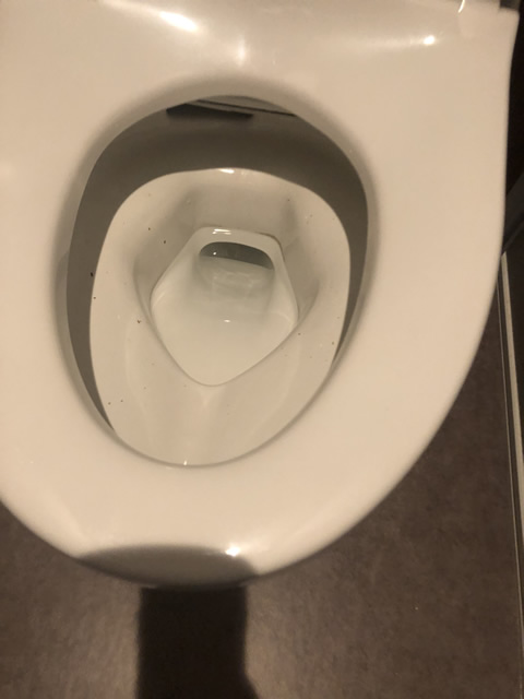 【体験談】トイレの排水管のつまりをメーカー保証期間で無料修理した話:Afterイメージ