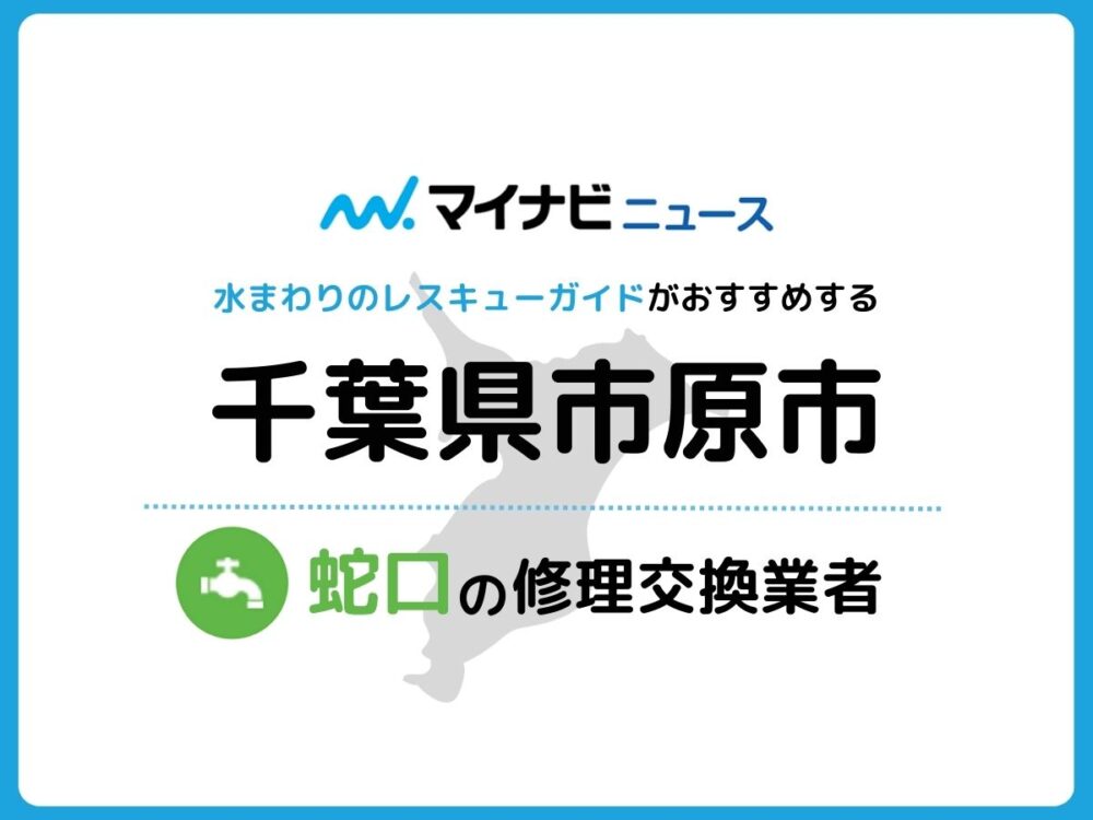 市原市 蛇口の修理交換業者