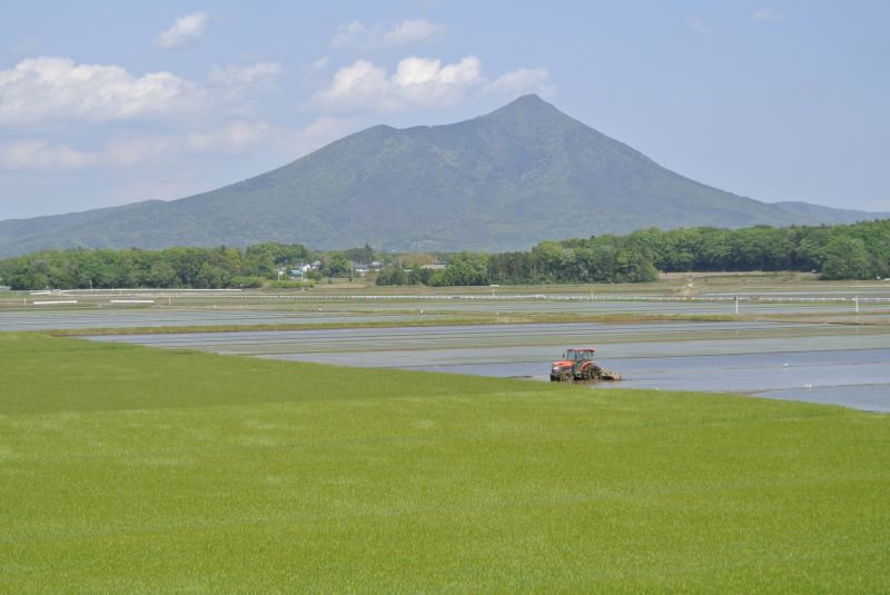 筑西市 排水管・排水口の修理交換業者