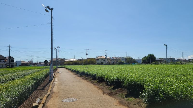 ふじみ野市 蛇口の修理交換業者