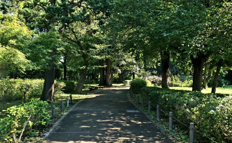 国分寺市 排水管・排水口の修理交換業者