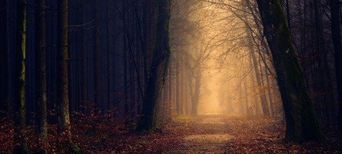 ホラー映画の舞台に泊まれる? ハロウィンにぴったりの宿泊施設