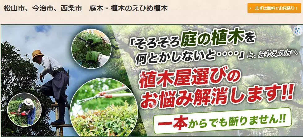 最も安い 【愛媛県松山市の庭師】広いお庭、高所作業、害虫でお困りの方へ、剪定・伐採・消毒・芝刈りなどお庭の作業をお手伝いします