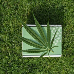 働く現代人の“見えない不調”を大麻成分が解決する - 近年注目の「CBD」とは? 