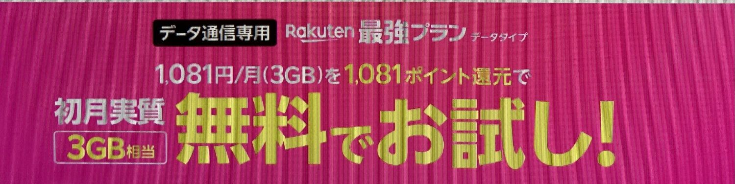 【Rakuten最強プラン（データタイプ）お申し込み特典】 初月3GB分実質無料