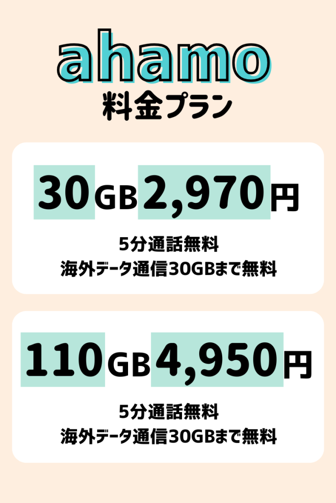 デメリット1|プランが30GBか110GBの2種類のみ