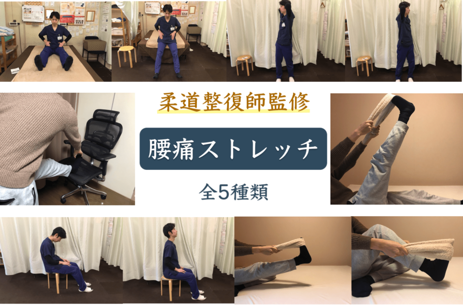 簡単にできる腰痛ストレッチ 全5種類ご紹介 寝る前に寝ながら 座ったまま椅子で 立ったままでもできます 鈴木家のマットレス