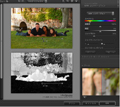 "使える"フィルタが満載! Photoshop用プラグイン「Color Efex Pro 3.0J」