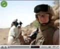 YouTubeに「子犬を崖に投げ殺す」米兵らしき映像 - 残酷さに批判相次ぐ