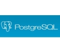 PostgreSQL、アクティブブランチの クリティカルな修正を実施