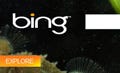 米MS、新検索サービス「Bing」発表 - ユーザーの情報活用に焦点