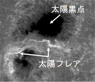 京大ら、宇宙天気予報の基礎となる太陽嵐のモデリングに成功