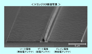 パナソニック、室温でテラヘルツ波を検出するGaNトランジスタを開発