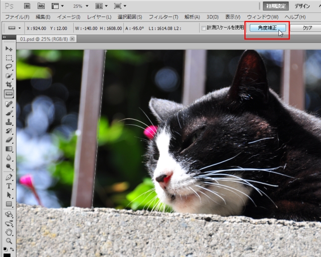 Adobe Photoshop CS5」をさらに使いこなすための新機能をまとめて紹介 | TECH+（テックプラス）