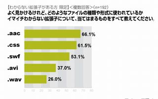 男女で違う! イマイチ意味がわからない拡張子No.1は? - アイシェア