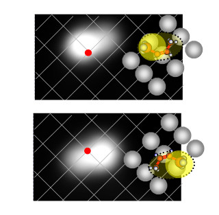 理研ら、固体表面上の分子1つ1つの性質を調べる手法を確立