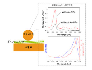 北大ら、ナノギャップ光アンテナの有機薄膜での光電変換の高効率化法を開発