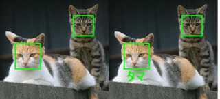 パナソニック、顔認識ソフト「FaceU」の新版でペットの顔が認識可能に