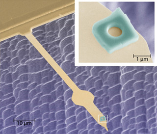 京大ら、Sr2RuO4の超伝導体中に従来の半分の大きさの磁束量子を発見