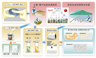 東大、微生物を選択的に培養できる培地設計理論を開発